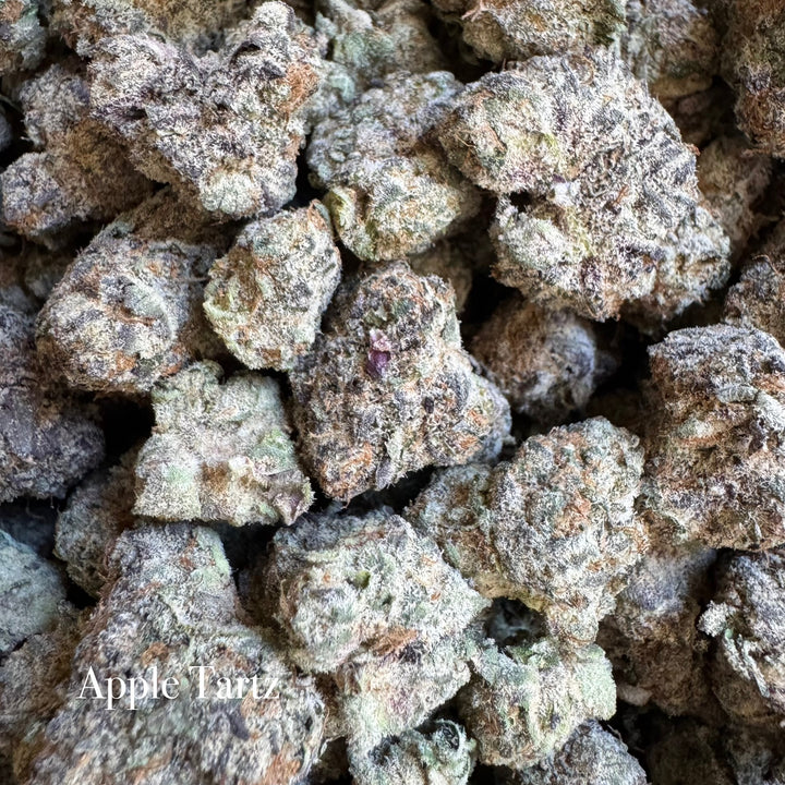 Indoor Apple Tartz