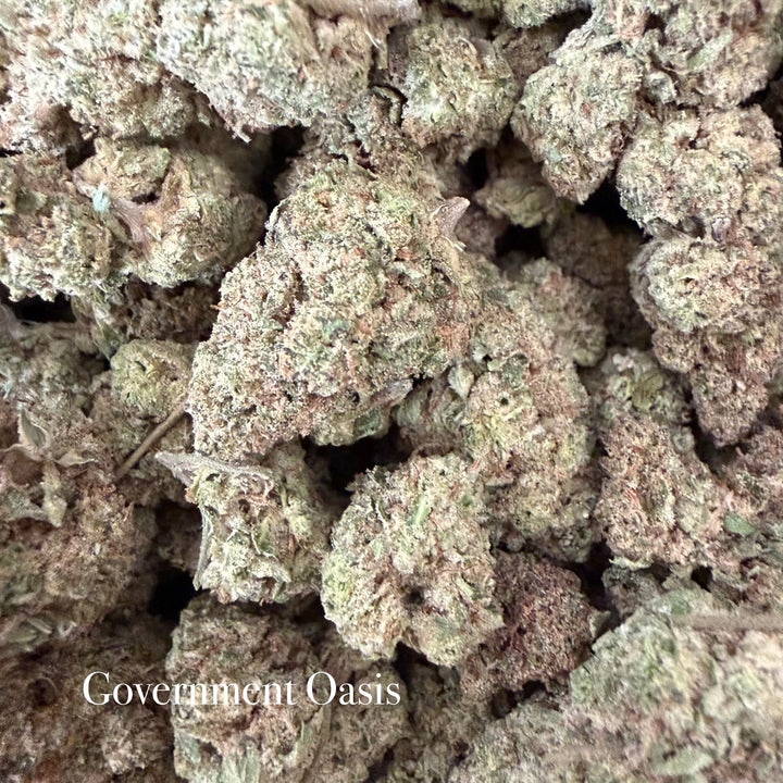 Indoor Government Oasis