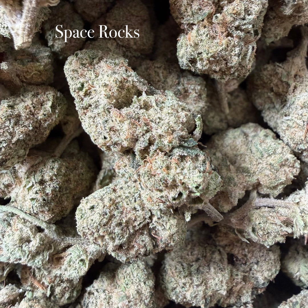 Indoor Space Rocks