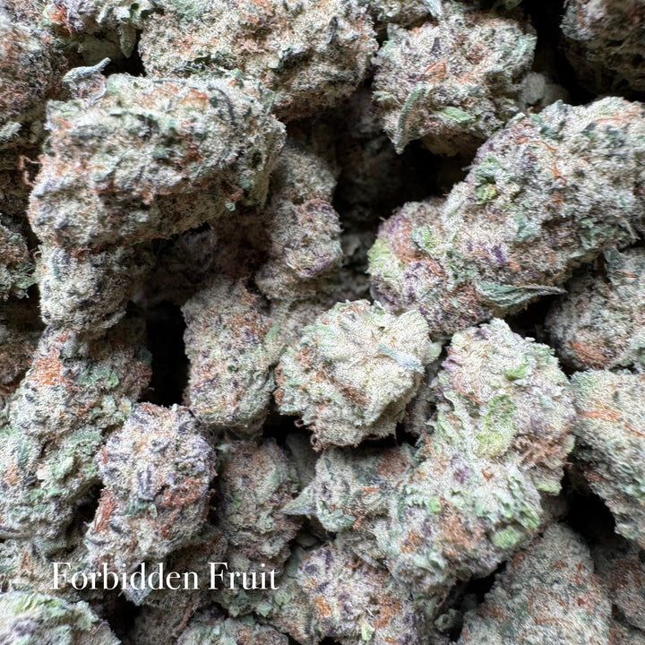 Indoor Forbidden Fruit