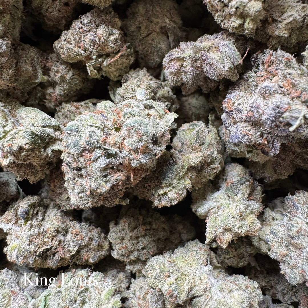 Indoor King Louis