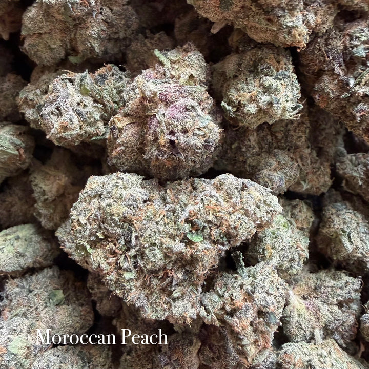 Indoor Moroccan Peaches