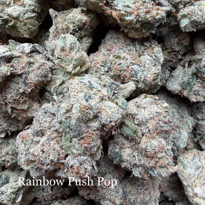 Indoor Rainbow Push Pop