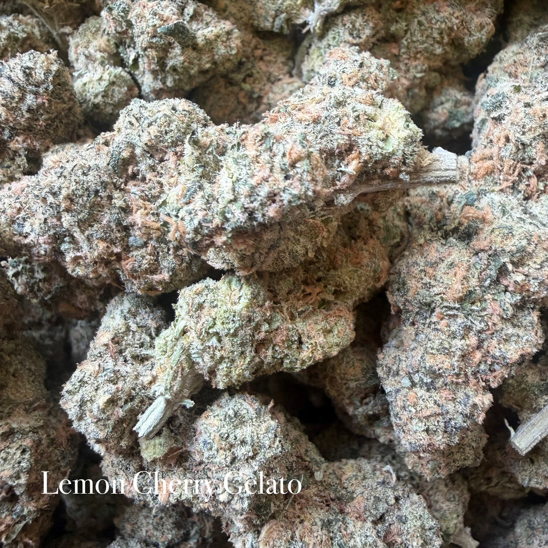 Indoor Lemon Cherry Gelato