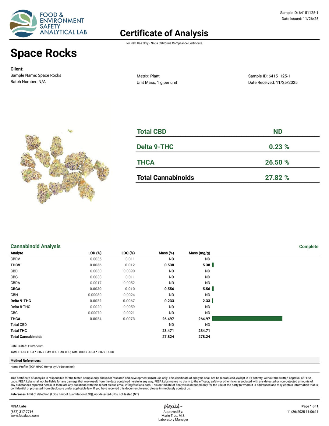 Indoor Space Rocks