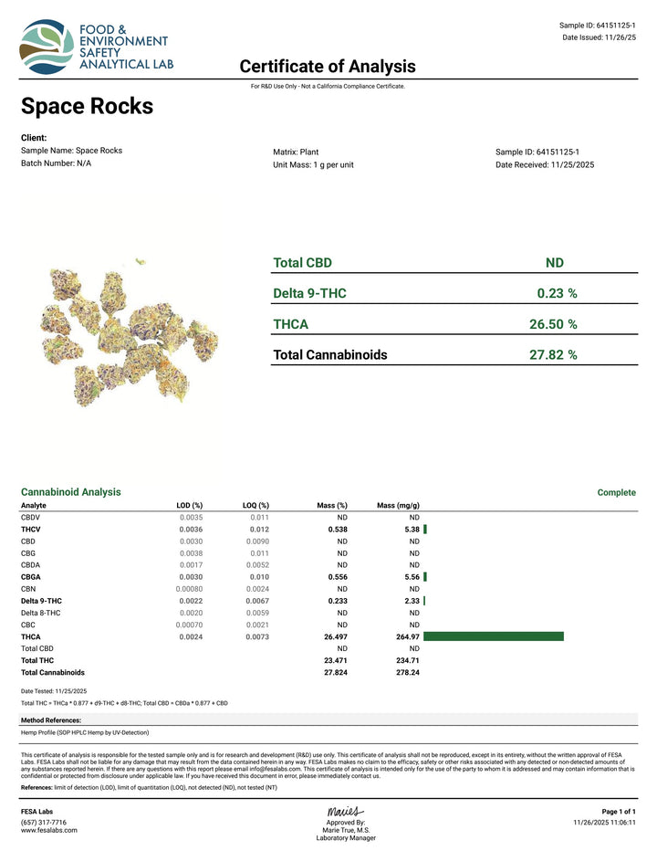 Indoor Space Rocks