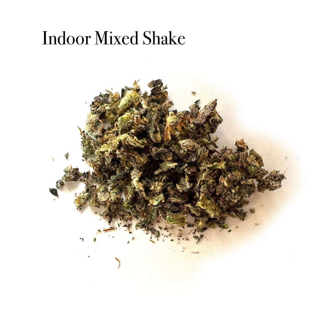 Indoor Mixed Shake