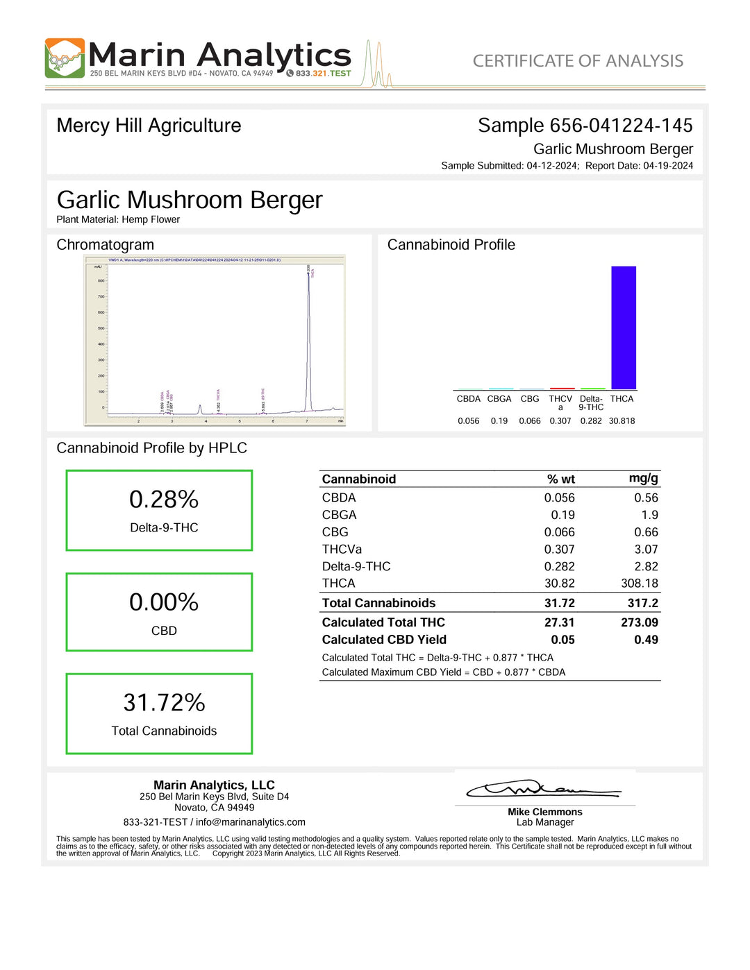 Indoor Garlic Mushroom Burger