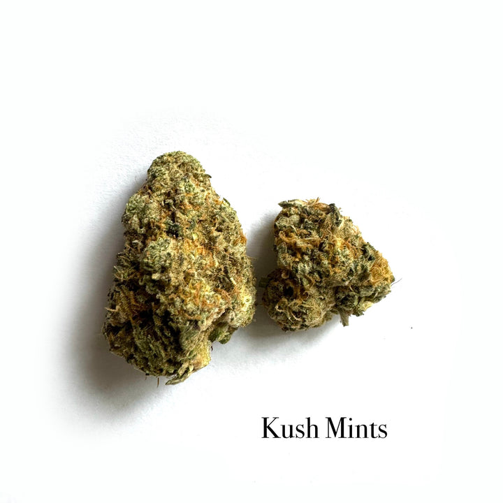 Indoor Kush Mints