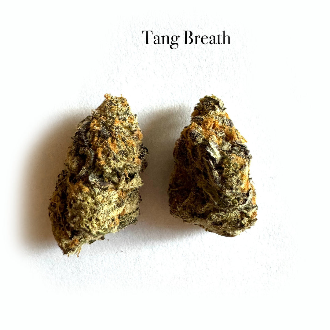 Indoor Tang Breath