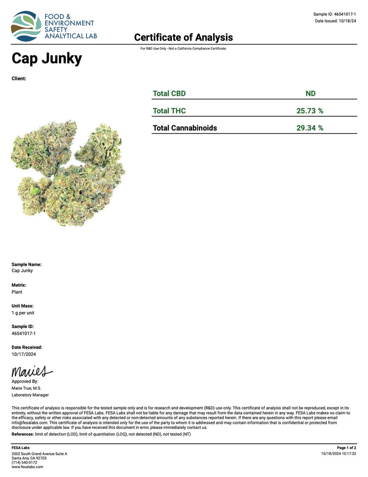 Indoor Cap Junky